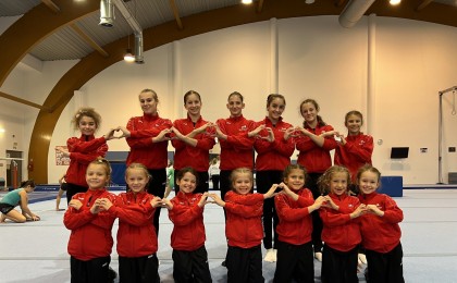 Perspektivna in vrhunska gimnastika