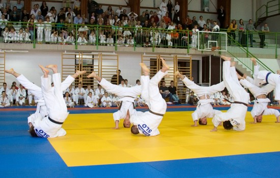 2010 - 50 let Judo kluba Šiška