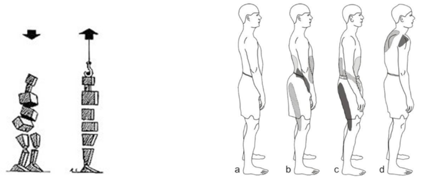 Pomen stabilizacije trupa